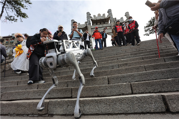 Robot dog becomes highlight of Mount Tai