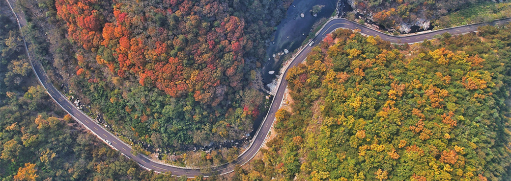 Mount Tai's autumn landscape transforms into colorful palette