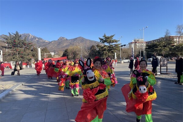 Folk parade lights up Tai'an