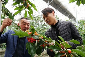 Scientific management promotes agricultural production in Tai'an