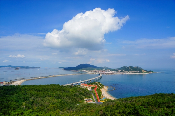 Yantai unveils International Zero-Carbon Island Cooperation Initiative at COP29