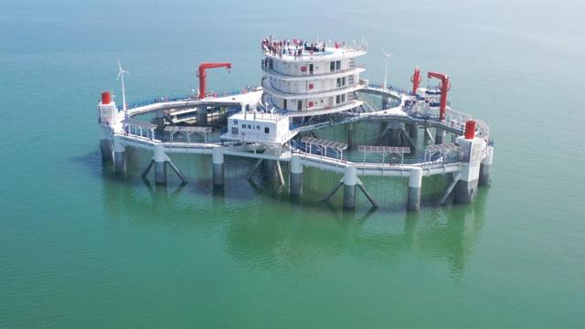 China's first intelligent ecological marine ranch opens in Yantai