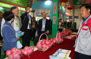 Food expo promotes Yantai-featured products