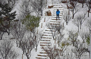 E China's Yantai greets 1st snow of this winter
