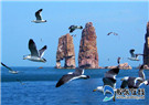 Changdao Island among favorite island tour destinations