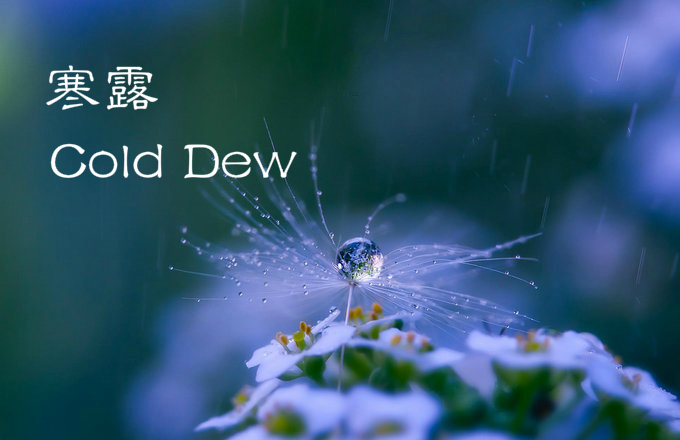 24 Solar Terms: 8 things you may not know about Cold Dew