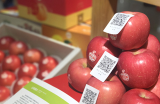 Quality tracing system established in Yantai's apple industry