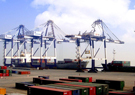 Yantai port hails good start in January