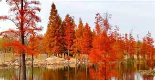 Picturesque Yuniao River in Yantai