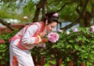 Peony flowers bring Yantai's ancient manor to life