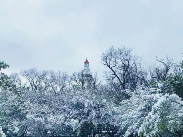 Yantai embraces first snow of season