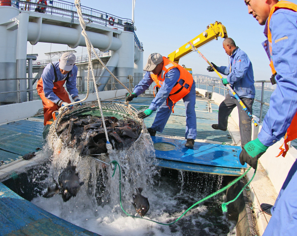 Yantai to accelerate marine ranch construction