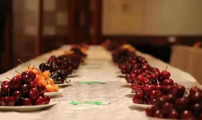 Fushan cherries shine at Chinese Cherry Business Conference