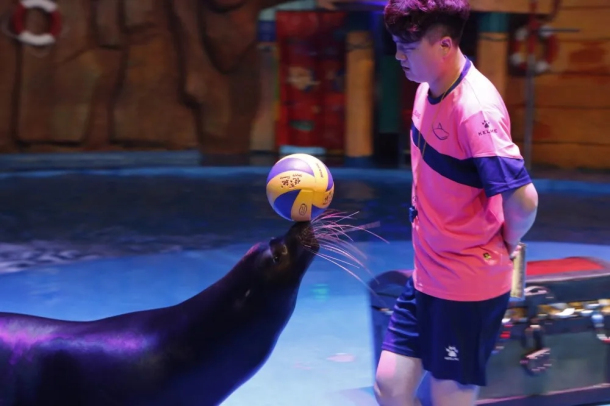 Get close to marine animals at Haichang aquarium