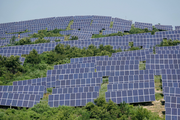 Yantai photovoltaic power station puts barren land to use