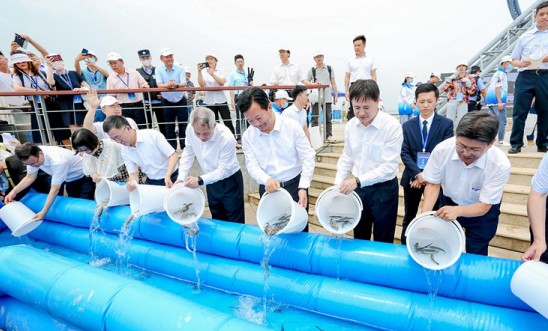 Yantai, South Korea host fish-release activity