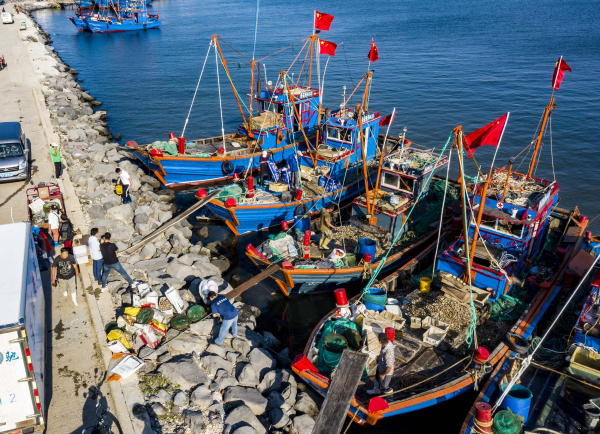 Yantai seafood market back to life after fish ban