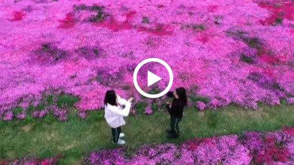 Video: Four seasons in Yantai