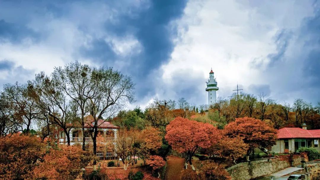Autumn scenery dazzles visitors in Yantai