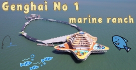 Yantai marine ranch sees economic, ecological significance