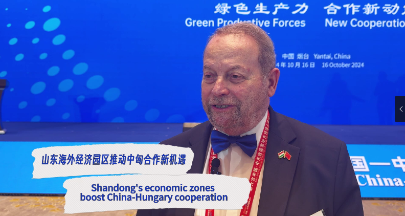 Shandong's economic zones boost China-Hungary cooperation, expert says