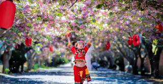 Flowers and trees add colors to Yantai