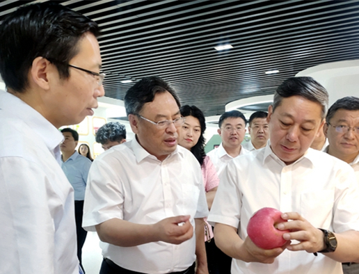 Shandong fruit institute established in Yantai