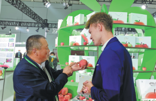 ​Yantai's apples at the core of rural development