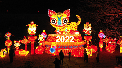 Video: Lantern show dazzles visitors in Yantai