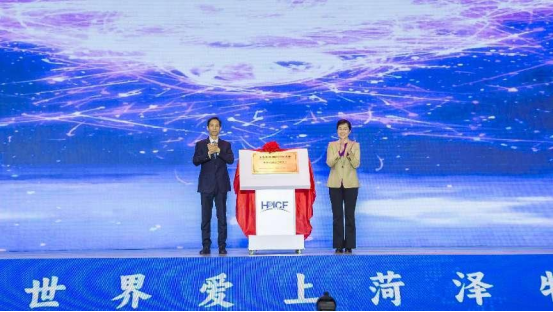 International peony forum opens in Heze