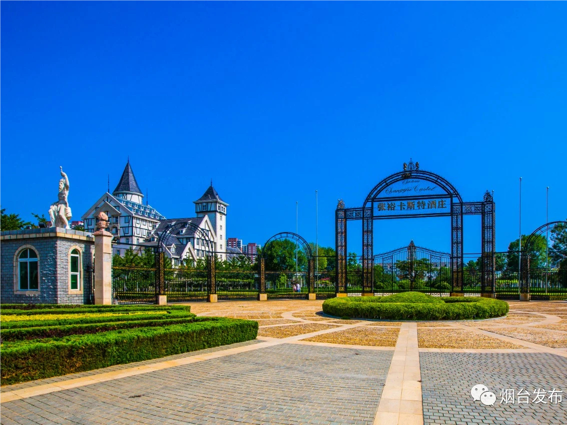 Yantai to host various wine culture events