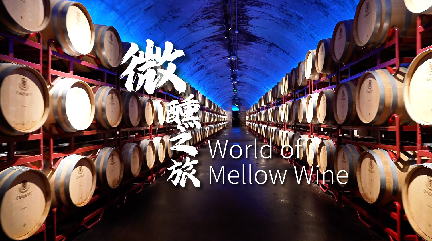 Field trip of celebrities highlights Yantai's wine culture series