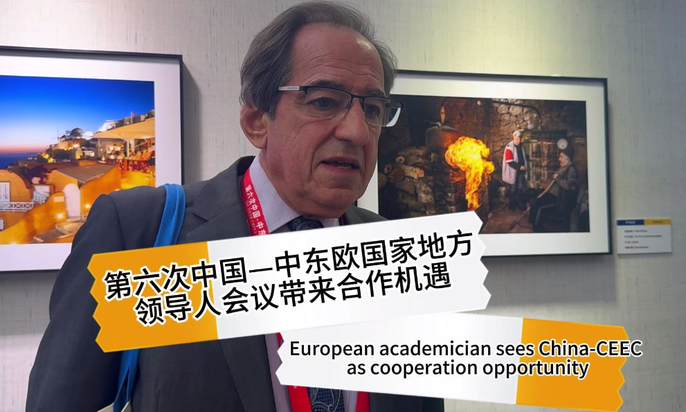 European academician sees China-CEEC as cooperation opportunity