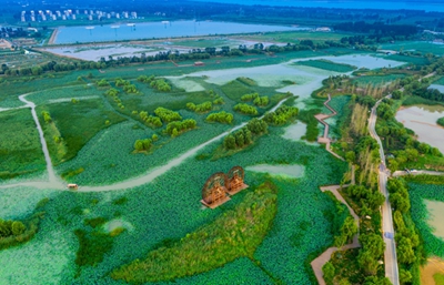 Village along Yellow River in Zibo city sees vitalization