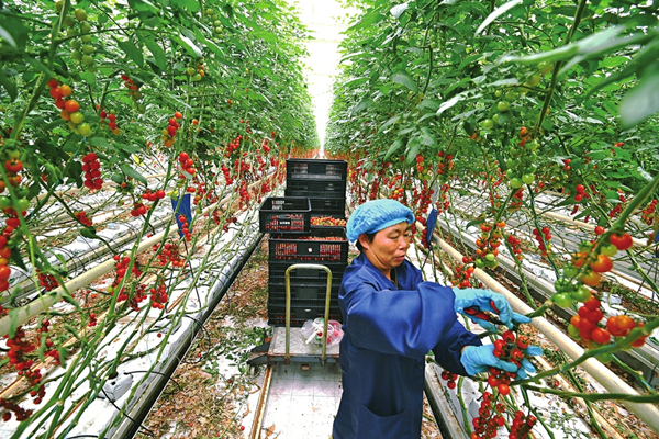 1663051224865080350.jpg W020220709691483728133_副本.jpg