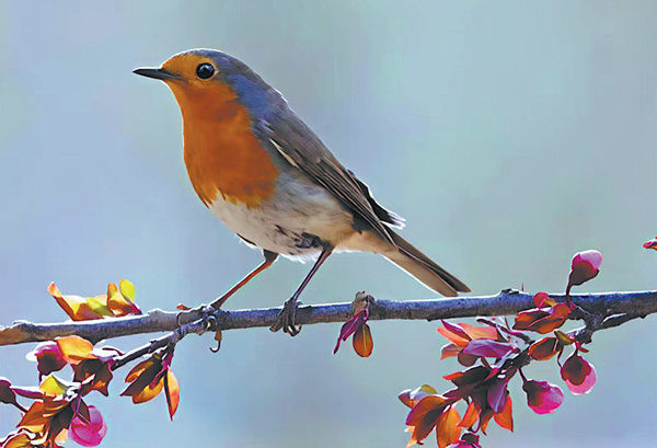 1767507709266007005.png 山西开放3_副本.png