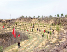 Datong progresses in sand encroachment prevention, control