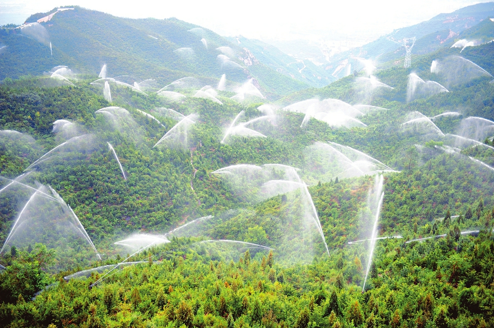 Afforestation yields fruit for poverty relief in North China's Shanxi