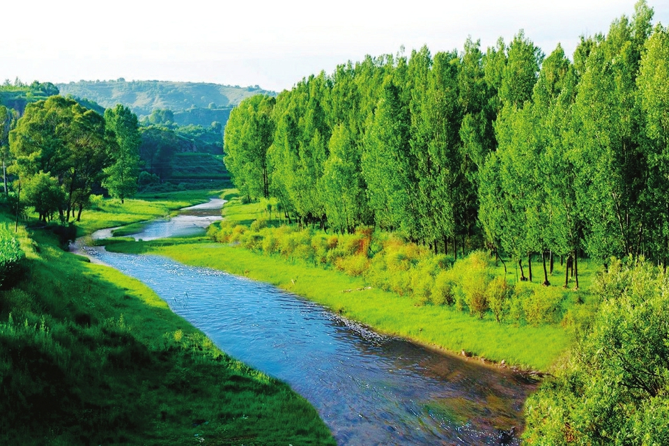 Shanxi sees more lucid waters, lush mountains