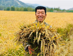 Shanxi fetes Chinese Farmers' Harvest Festival