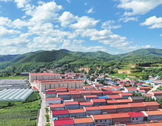 Shanxi sees notable rural vitalization progress