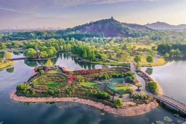 Chenshan Botanical Garden holds Spring Festival flower event