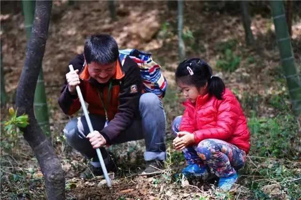 Bamboo shoot festival invites folks to have springtime fun