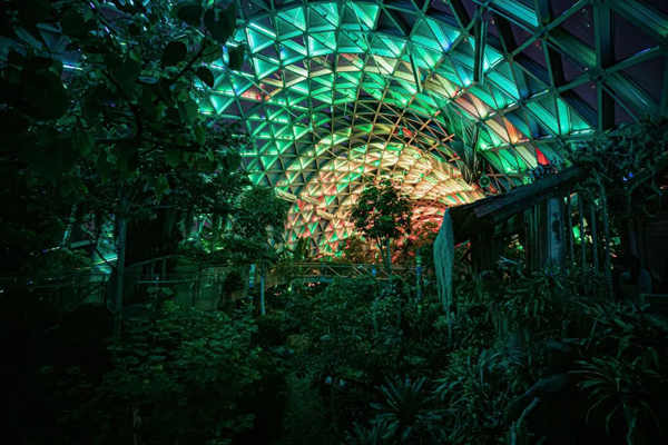 Chenshan Botanical Garden offers night tour of greenhouse
