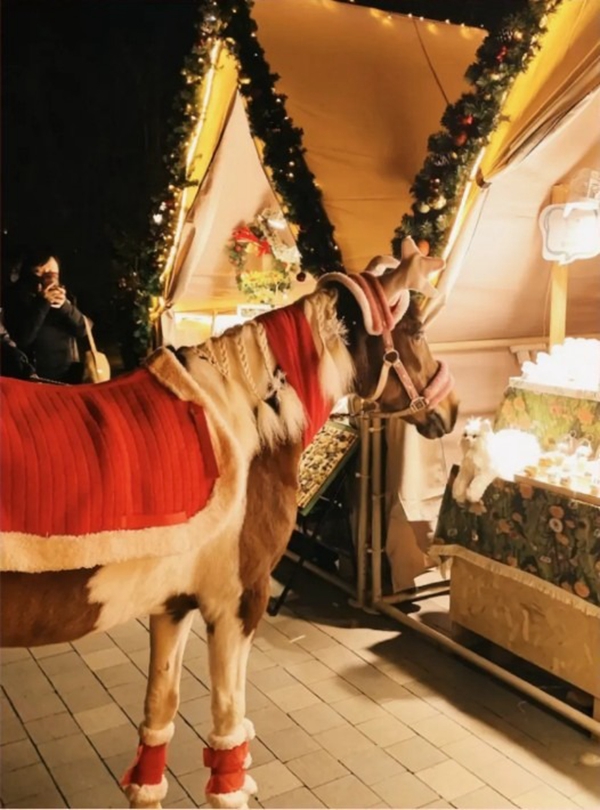 1769506315775075841.jpg 616817112_122176391174380666_301.jpg