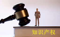 Shanghai releases IP protection benchmark cases