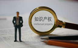 China's IP protection wins recognition of foreign enterprises: survey