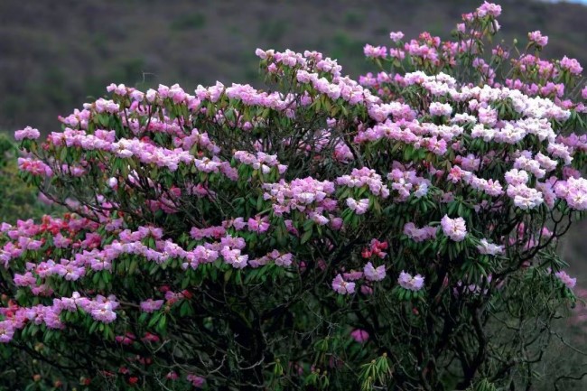 1747016216406092303.jpg 22.jpg