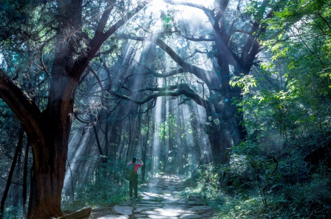 1747289055026061545.png 捕获.png