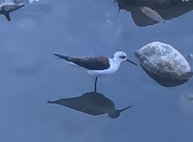 1747980983712020418.jpg 111.jpg